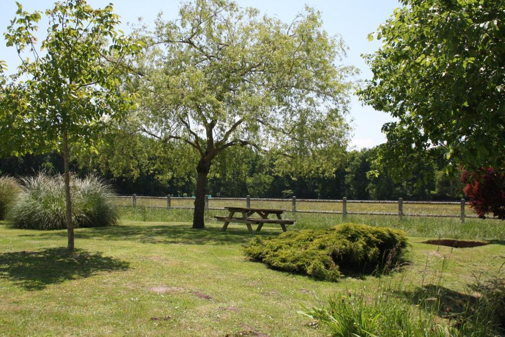 Chambres Et Table D'Hotes Les Machetieres Langeais Luaran gambar